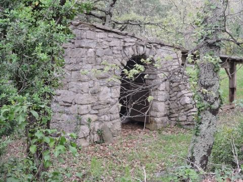 III) DE VOGÜÉ À BALAZUC