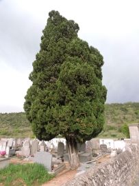 rando lanas les gras 012