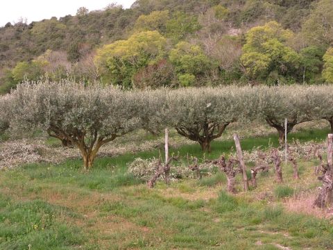 rando lanas les gras 014