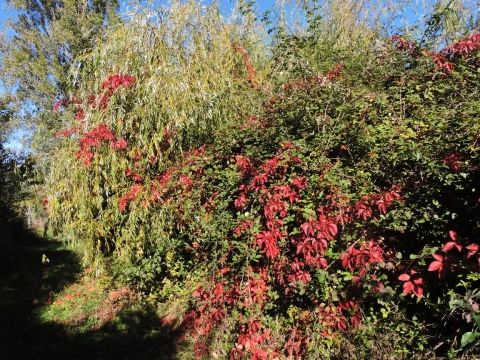 rando saint-remèze 002