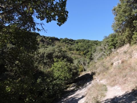 rando saint-remèze 010