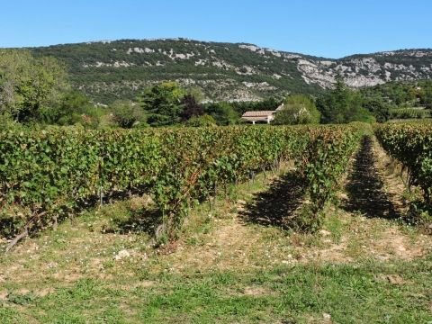 rando saint-remèze 016