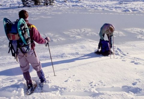 Raquettes au Mont Gerbier 001