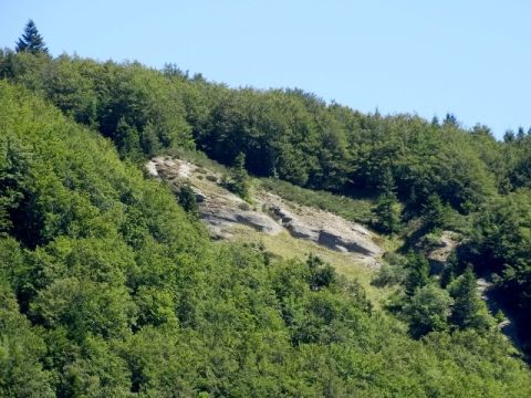 Rejets de granit remontés avec le magma