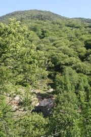 restauration moulin thines 001