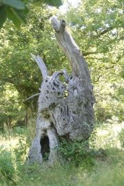 restauration moulin thines 003