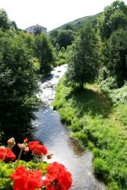 Saint Cirgues-en-Montagne