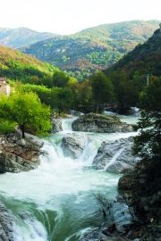 Saint Pierre-de-Colombier