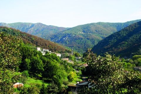 Saint Pierre-de-Colombier