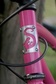 Salamandre et recyclette