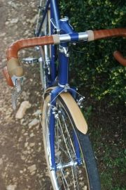 Salamandre et recyclette