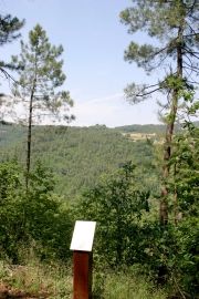 sentier bois laville