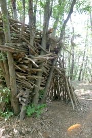 sentier bois laville