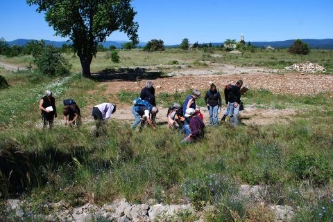 Société botanique de l' Ardèche