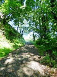 Sur le chemin des ânes à Aubenas