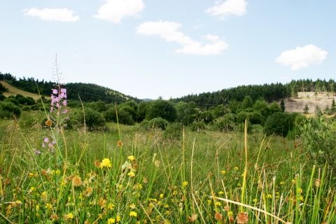 tourbière sagne redonde